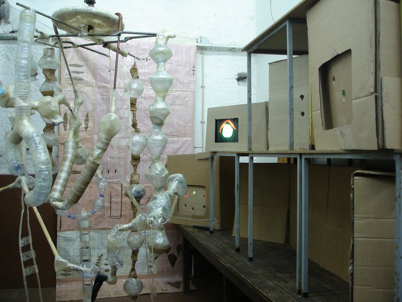 interior prolongado pedro pinheiro.JPG