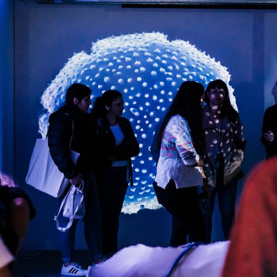 Já arrancou a segunda fase de candidaturas para o Mestrado em Media Arts da Universidade do Minho