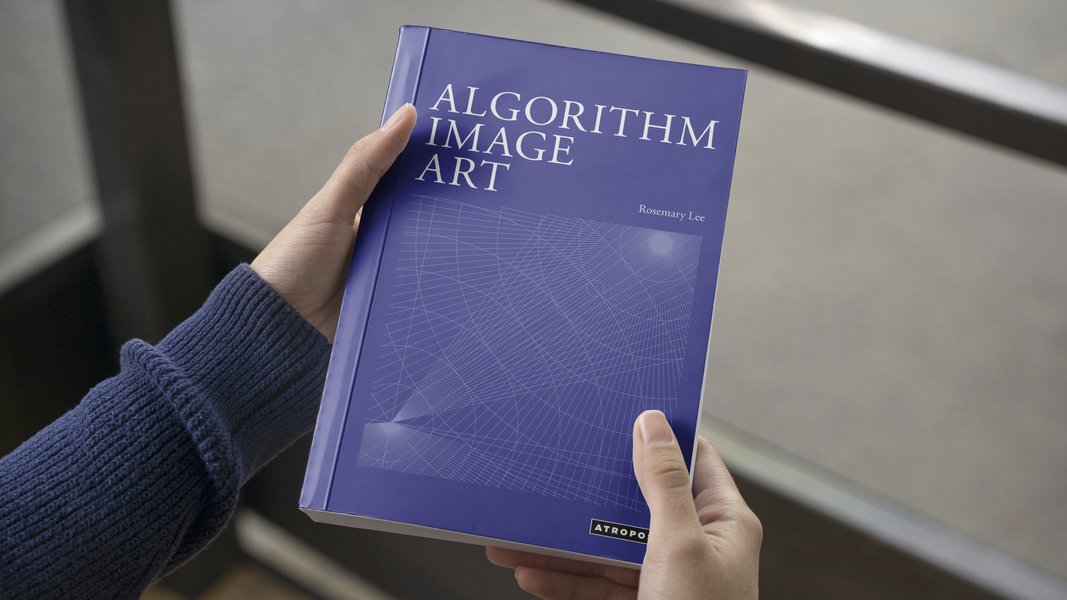 Lee Rosemary Algorithm Image Art[1].jpg