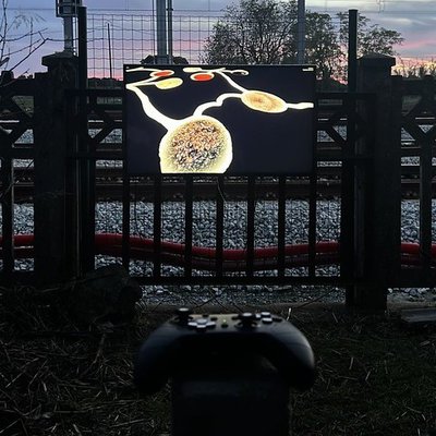 OPEN CALL: ANIMAIS, residência artística novos media