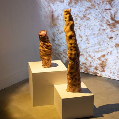 Nova edição do Pós-Laboratórios de Verão explora os os contornos que delimitam o humano e o mais-que-humano