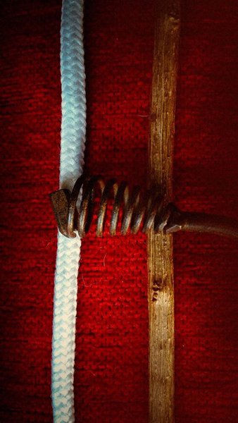 Orquestra Paus e Cordas.jpg