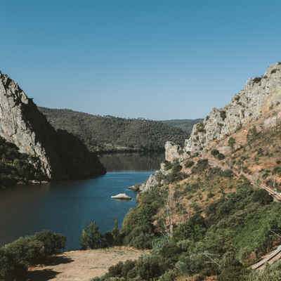 OPEN CALL: Animais, residência artística para novos media