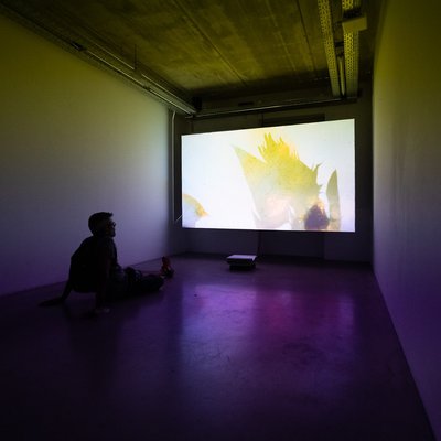 Laboratórios de Verão