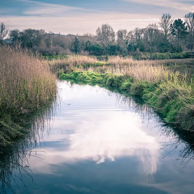 OPEN CALL: S+T+ARTS Aqua Motion