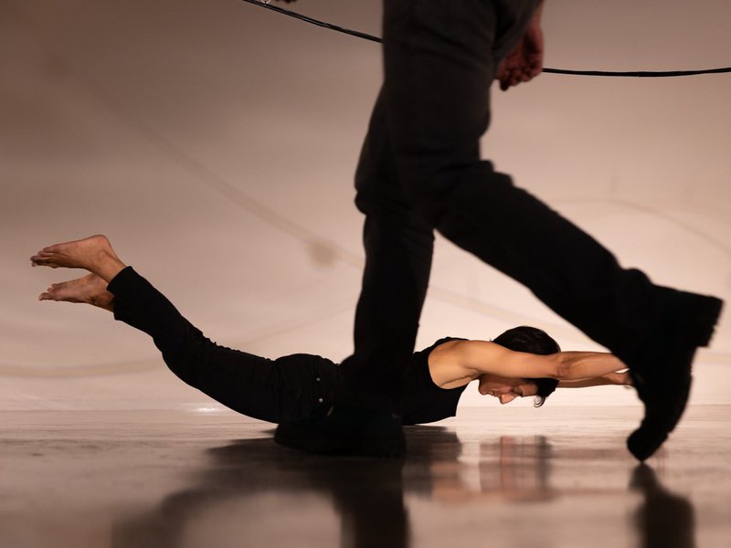 _G7A2743 © Alípio Padilha2.jpg