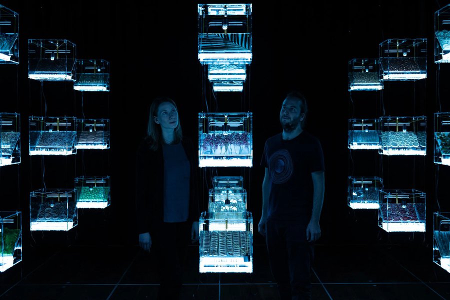 The Transparency Of Randomness , Vera Tolazzi, Mathias Gartner, Credit vog.photonova.jpg